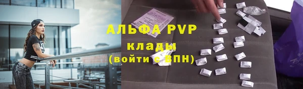 стафф Белокуриха