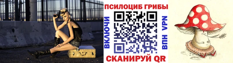 блэк спрут   где купить   Ярославль  Галлюциногенные грибы ЛСД 