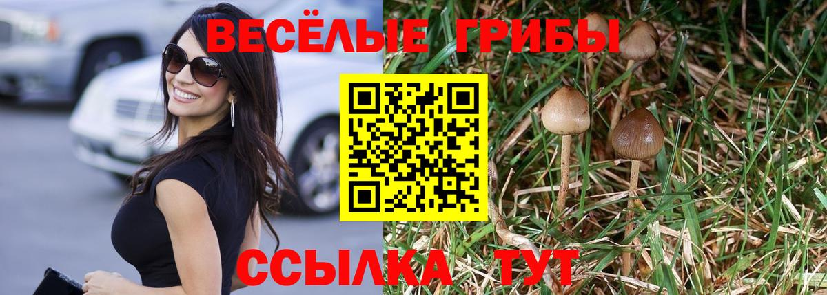 Псилоцибиновые грибы Cubensis  Вход с VPN  Ярославль 