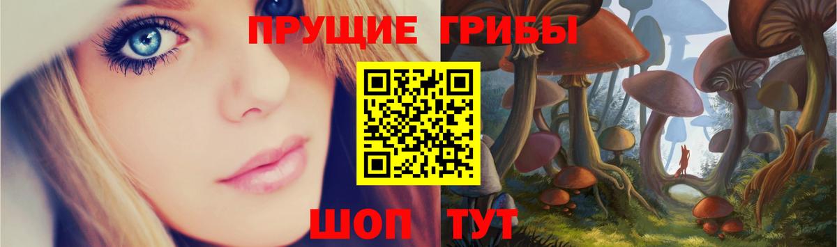 Галлюциногенные грибы GOLDEN TEACHER Ярославль